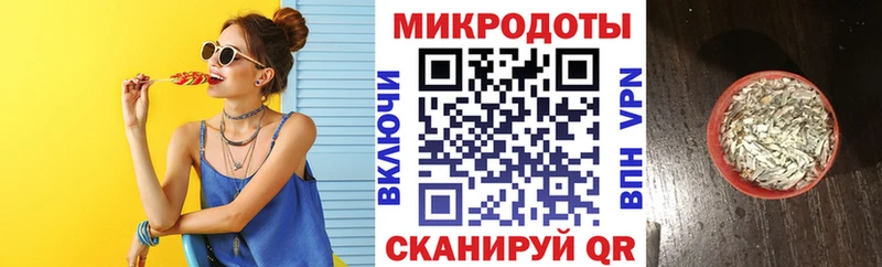 купить  цена  Ельня  Галлюциногенные грибы мицелий 